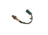 ламбда-сонда