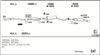 OP45084_5235295.JPG