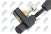 ecp-vw-007_2-wm.JPG