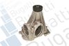 PA6807.JPG