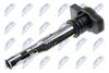 ecz-vw-024_2-wm.JPG