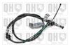 QH_BC3484.JPG