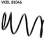VKDL 81046.JPG