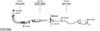 SYS11684.JPG