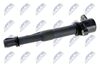ECZ-FT-010_2-WM.JPG