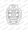 lbs00588_5312226.JPG