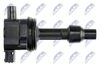 ECZ-VV-002_3-WM.JPG