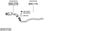 SYS17132.JPG