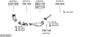 SYS13251.JPG