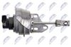 ecd-vw-016_4-wm.JPG