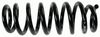 0032994134.JPG