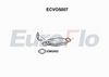 ecvo5007.JPG