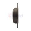 Fahren Brake Disc FBD6496