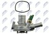 CTM-FT-006_4-WM.JPG