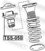 TSS-050_1.JPG