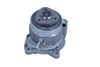 MGC-5482_1_LARGE.JPG