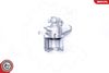 SKV_34SKV887_WM_06.JPG