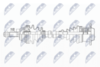 npw-vw-141_9-wm.PNG