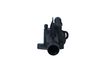 725082_1500X1000_WM_007.JPG