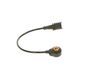 Bosch Knock Sensor 0261231211