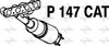 P147CAT.JPG