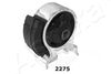 GOM-2275_1.JPG