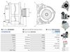 A01203(SEG)_256960.JPG