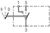 S221.JPG