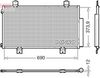 dcn40036_6920739.JPG