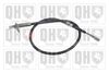 QH_BC3671.JPG