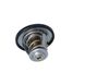 Termostat, chladivo 725174