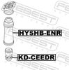 KD-CEEDR_1.JPG