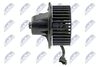 EWN-VW-012_5-WM.JPG