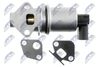 EGR-SK-001_4-WM.JPG