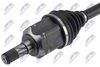 npw-ft-106_2-wm.JPG