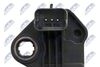ECP-CT-000_4-WM.JPG