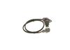 Bosch Fuel Injection System Valve 0281002117