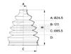 BCB6339_914201.JPG