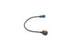 Bosch Knock Sensor 0261231070