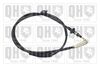 QH_BC3828.JPG