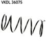 VKDL 36075.JPG