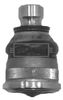 BBJ5413_206822.JPG