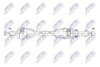 npw-re-259_9-wm.PNG