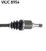 VKJC 8954_3.JPG