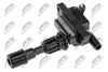 ECZ-MZ-007_2-WM.JPG