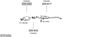 SYS13353.JPG