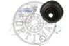 OPT_CVB-10169CR_WM_02.JPG