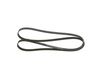 Bosch V-Ribbed Belt 1 987 947 834 (1987947834)