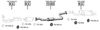 RO302300.BMP