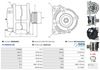 A0583(SEG)_256960.JPG